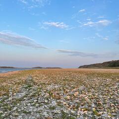 База отдыха Дом рыбака, Ленинский район, Вологодская область
