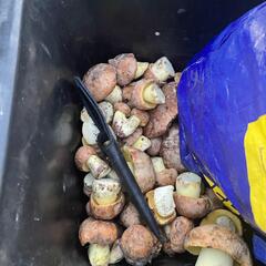 База отдыха Дом рыбака, Ленинский район, Вологодская область