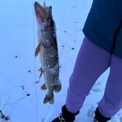 База отдыха Дом рыбака, Ленинский район, Вологодская область