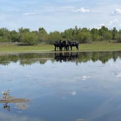 База отдыха Дом рыбака, Ленинский район, Вологодская область