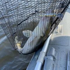 База отдыха Дом рыбака, Ленинский район, Вологодская область