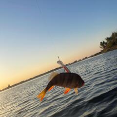 База отдыха Дом рыбака, Ленинский район, Вологодская область