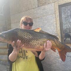 База отдыха Дом рыбака, Ленинский район, Вологодская область