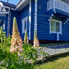 База отдыха Карельская Усадьба, Прионежский район, Республика Карелия