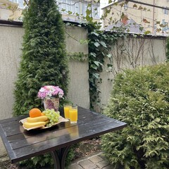 Гостевой дом 5 причин, Анапа, Краснодарский край