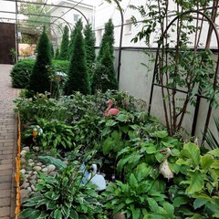 Гостевой дом 5 причин, Анапа, Краснодарский край