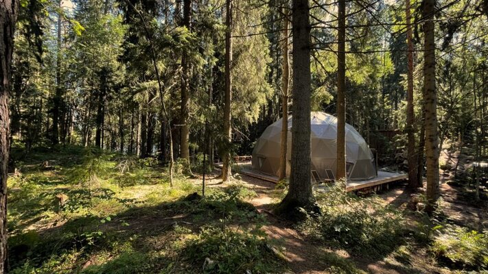 Вили Улей Карелия — фото 1