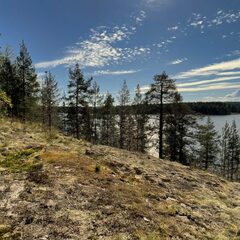 Глэмпинг Вили Улей Карелия, Лахденпохский район, Республика Карелия