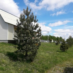 Коттеджный комплекс Домик у озера, Осташковский район, Тверская область