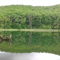 Коттеджный комплекс Домик у озера, Осташковский район, Тверская область