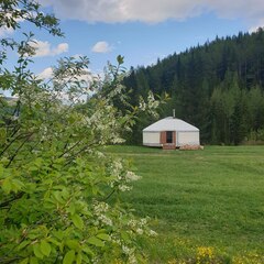 Кемпинг Кедровая Сова, Орджоникидзевский район, Республика Хакасия