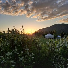 Кемпинг Кедровая Сова, Орджоникидзевский район, Республика Хакасия