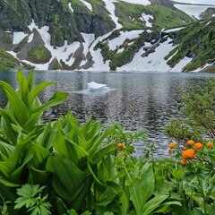 Кемпинг Кедровая Сова, Орджоникидзевский район, Республика Хакасия