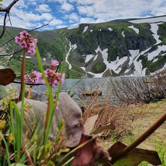 Кемпинг Кедровая Сова, Орджоникидзевский район, Республика Хакасия