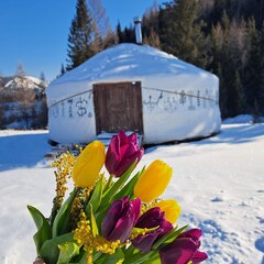 Кемпинг Кедровая Сова, Орджоникидзевский район, Республика Хакасия