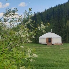 Кемпинг Кедровая Сова, Орджоникидзевский район, Республика Хакасия