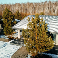 База отдыха Лесная Симфония, Тюменская область