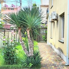 Гостевой дом Олимп, Сочи, Краснодарский край