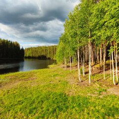 База отдыха Ёкиранта, Пряжинский район, Республика Карелия