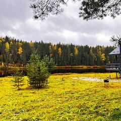 База отдыха Ёкиранта, Пряжинский район, Республика Карелия