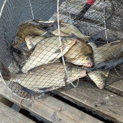 База отдыха Ёкиранта, Пряжинский район, Республика Карелия