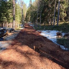 База отдыха Ёкиранта, Пряжинский район, Республика Карелия