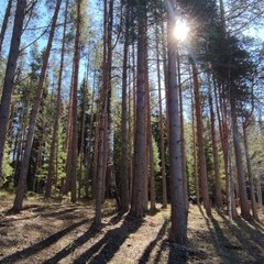 База отдыха Ёкиранта, Пряжинский район, Республика Карелия