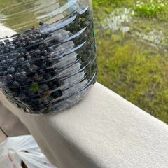 База отдыха Ёкиранта, Пряжинский район, Республика Карелия