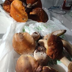 База отдыха Ёкиранта, Пряжинский район, Республика Карелия