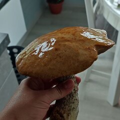 База отдыха Ёкиранта, Пряжинский район, Республика Карелия