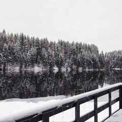 База отдыха Ёкиранта, Пряжинский район, Республика Карелия