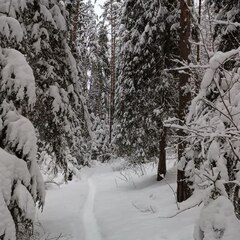 База отдыха Ёкиранта, Пряжинский район, Республика Карелия