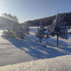 База отдыха Ёкиранта, Пряжинский район, Республика Карелия