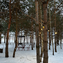 База отдыха TinyDacha Можжевельник, Заокский район, Тульская область