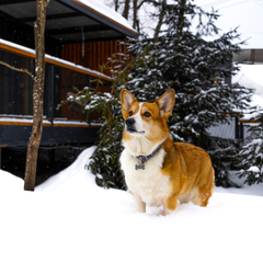 Парк-отель ХОЛМ INN, Всеволожский район, Ленинградская область