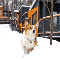 Парк-отель ХОЛМ INN, Всеволожский район, Ленинградская область