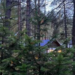 База отдыха Дух Тайги, Дивногорск, Красноярский край