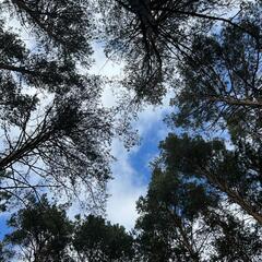 База отдыха Дух Тайги, Дивногорск, Красноярский край