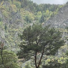 База отдыха Дух Тайги, Дивногорск, Красноярский край