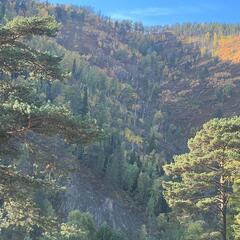 База отдыха Дух Тайги, Дивногорск, Красноярский край