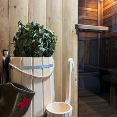 База отдыха Дух Тайги, Дивногорск, Красноярский край