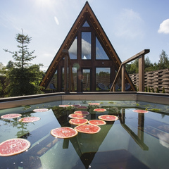 Дом отдыха Чантриум, Дмитровский район, Московская область