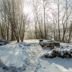 Загородный отель Страна Семи Сов, Кашинский район, Тверская область