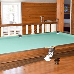 Загородный отель Алтайский Дом Туризма, Алтайский район, Алтайский край