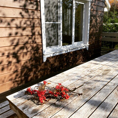 Загородный клуб Моя дача, Приозерский район, Ленинградская область