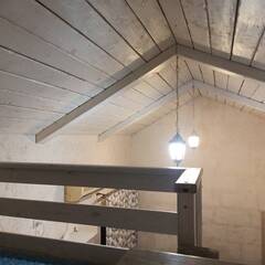 База отдыха Дом у Волги, Среднеахтубинский район, Волгоградская область