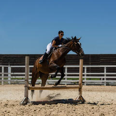Загородный комплекс Уткино Кантри Хаус, Семикаракорский район, Ростовская область