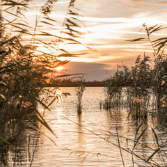 Загородный комплекс Уткино Кантри Хаус, Семикаракорский район, Ростовская область
