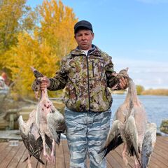 Рыболовно-охотничья база Грей Гусь, Камызякский район, Астраханская область