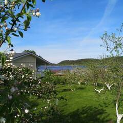 База отдыха Lintu2, Сортавала, Республика Карелия